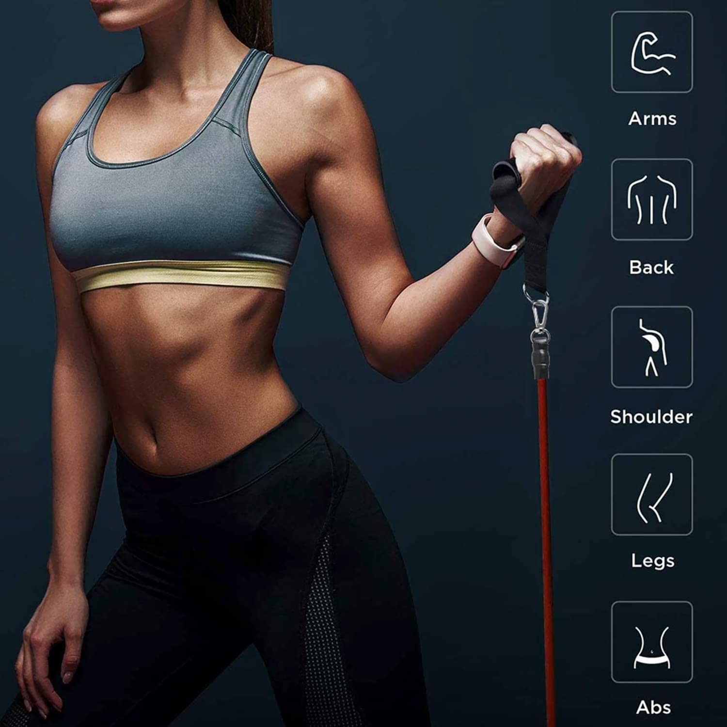 Premium Edition Resistance Bands Workout Set (Up to 110 lbs)