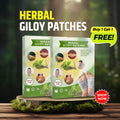 Herbal And Gentle Ingredient Detox Foot Pads(PACK OF 10)(BUY 1 GET 2 FREE)